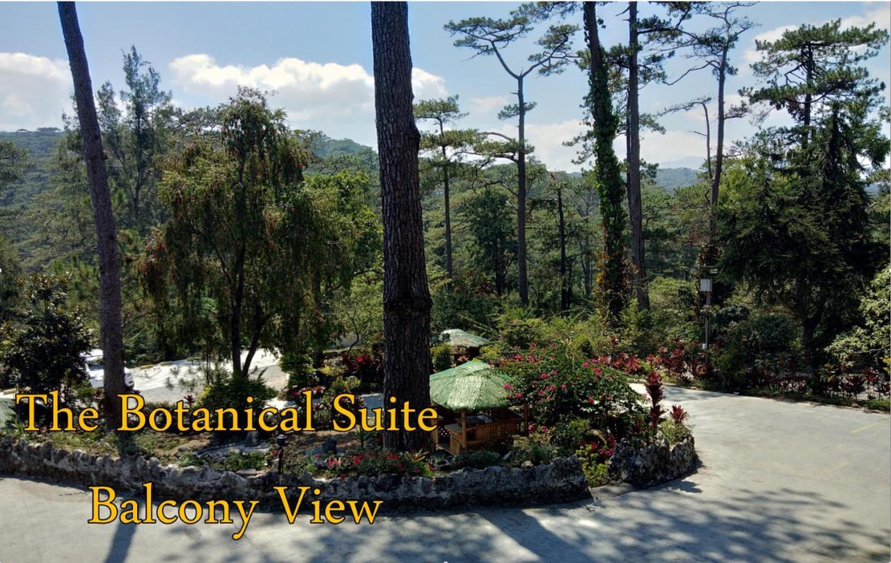 Log Cabin Hotel - Baguio Baguio City Exterior foto